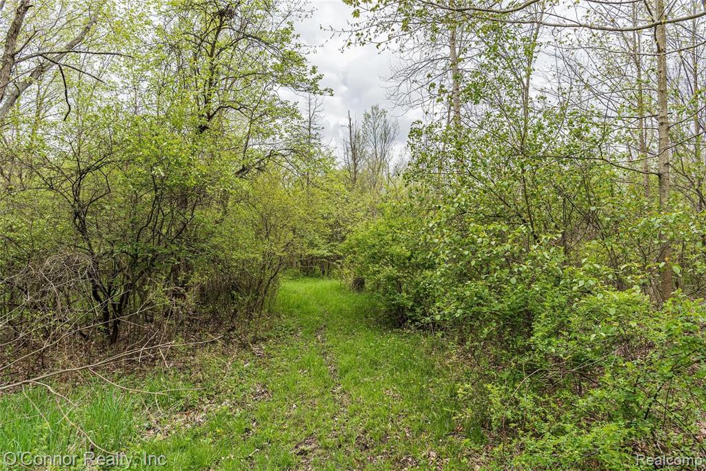 V/l Pine River Road St. Clair, MI 48079 - Photo 18 of 36 Gallery Image 18
