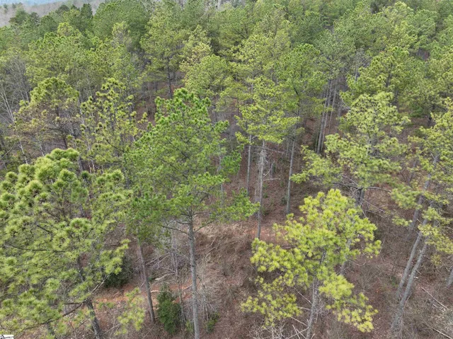 $164,600 | 2162 Battlecreek Road, Long Creek, SC 29658