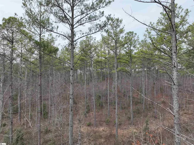 $164,600 | 2162 Battlecreek Road, Long Creek, SC 29658