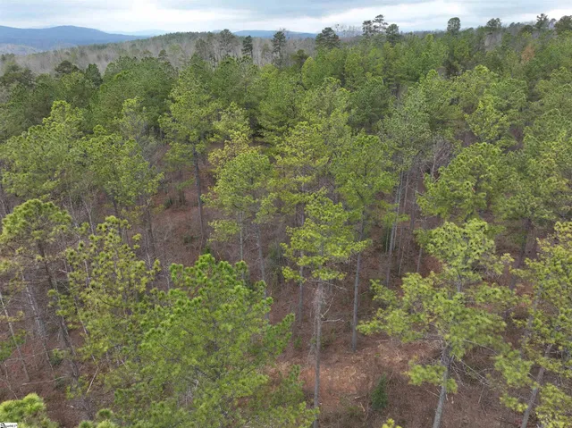 $164,600 | 2162 Battlecreek Road, Long Creek, SC 29658