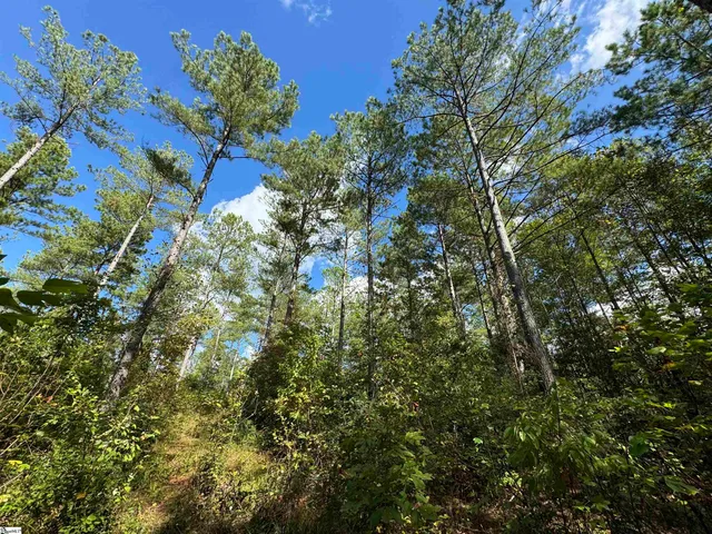 $164,600 | 2162 Battlecreek Road, Long Creek, SC 29658