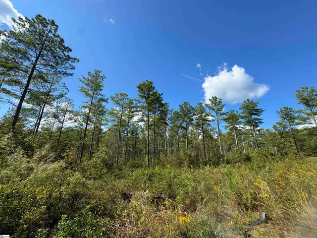 $164,600 | 2162 Battlecreek Road, Long Creek, SC 29658