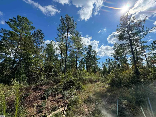 $164,600 | 2162 Battlecreek Road, Long Creek, SC 29658