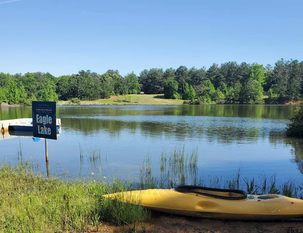 $4,995,000 | 891 Private Road 8454, Palestine, TX 75803