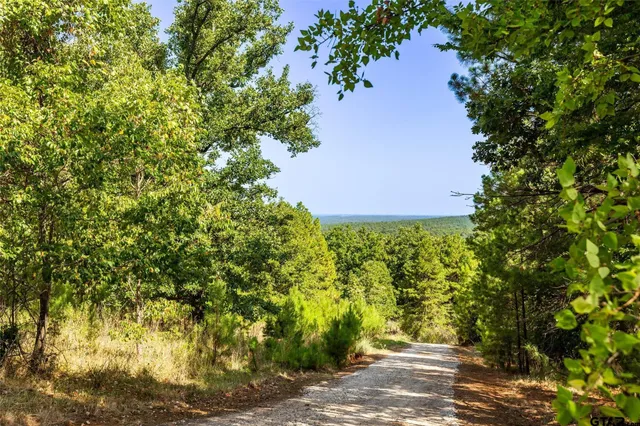 $4,995,000 | 891 Private Road 8454, Palestine, TX 75803
