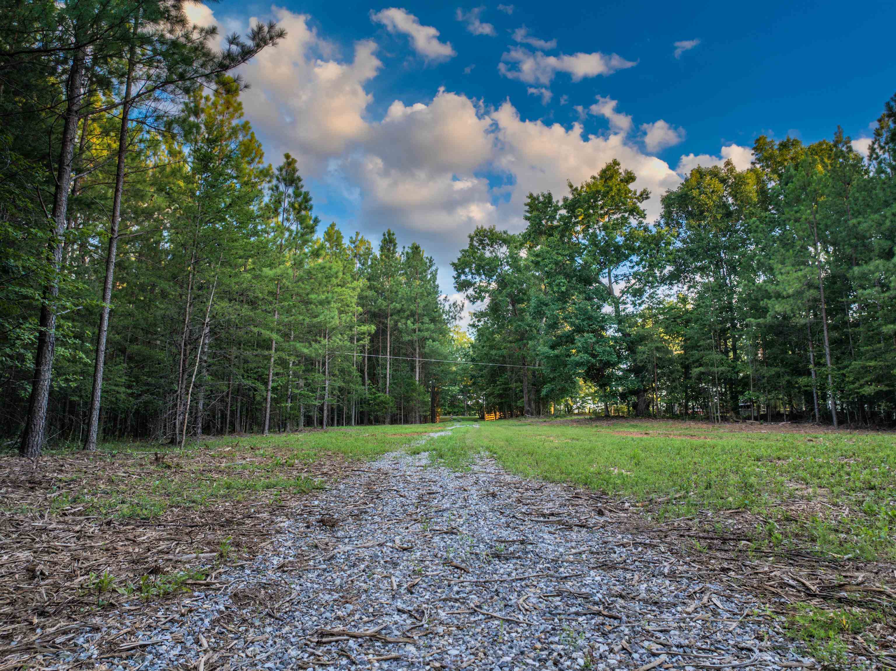 0 Mountain Cut Road Appomattox, VA 24522 - Photo 14 of 55 Gallery Image 14