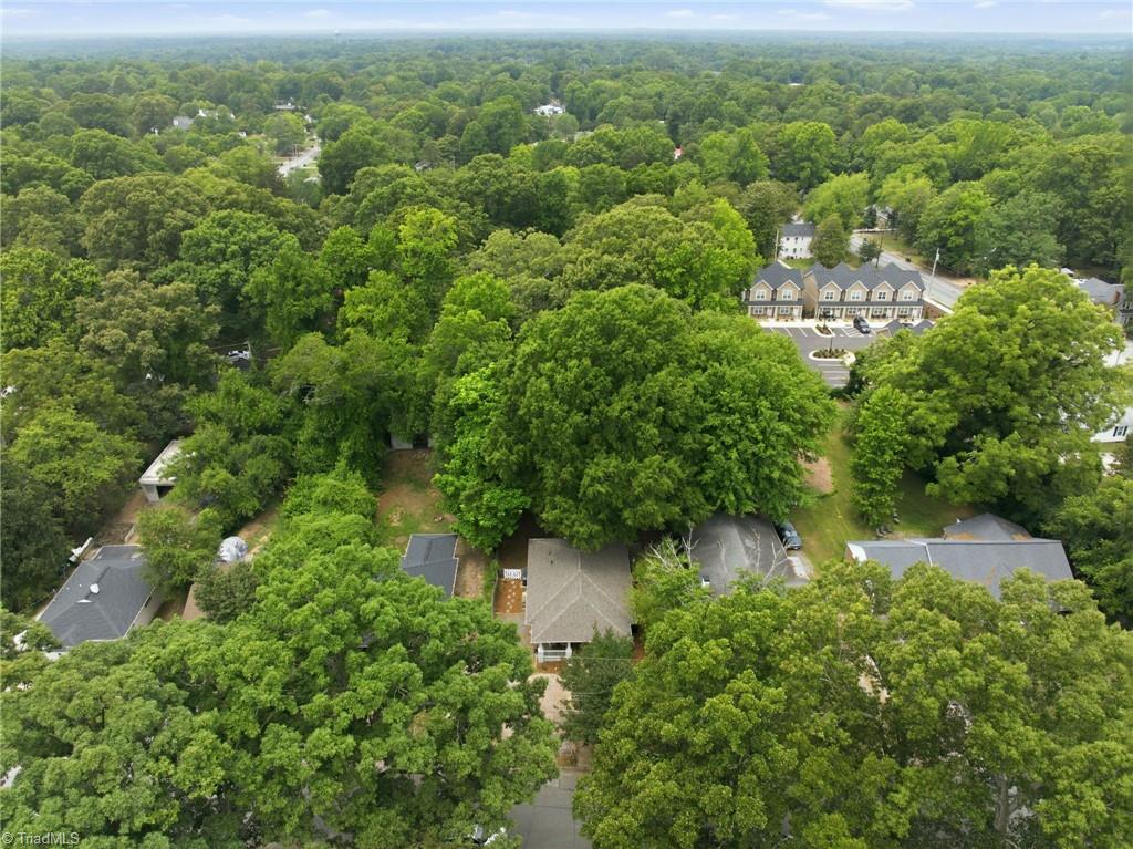 1313 Prescott Place High Point, NC 27262 - Photo 23 of 25