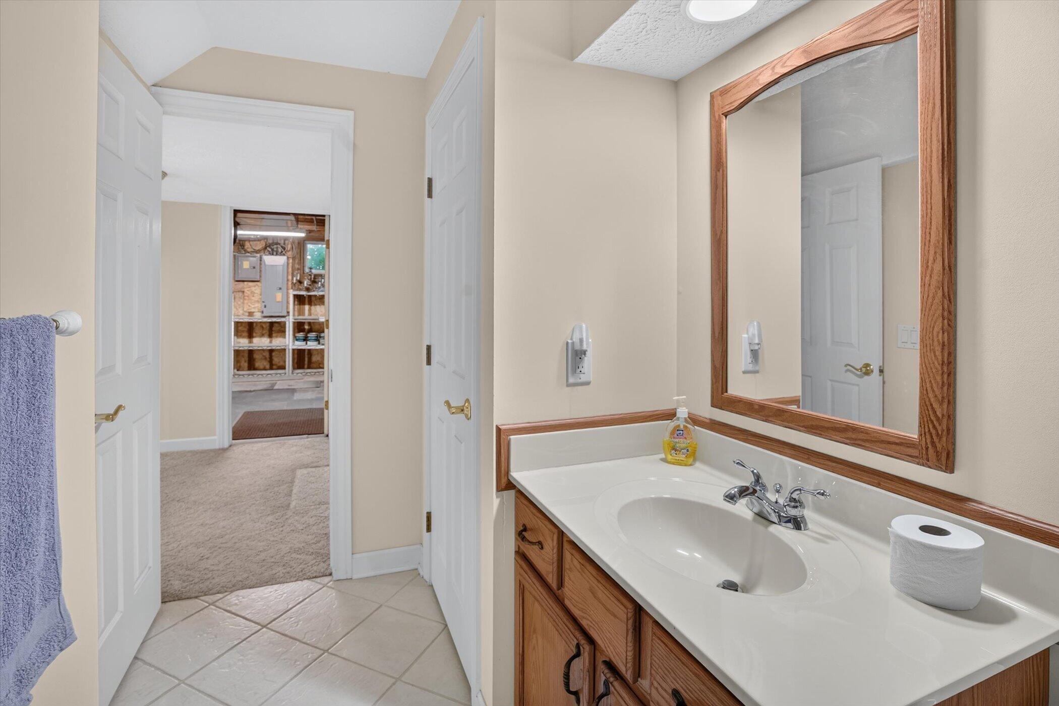 4729 Dimond Way Dimondale, MI 48821 - Photo 51 of 74 52-4729-Diamond-Way-WindowStill-Photogra