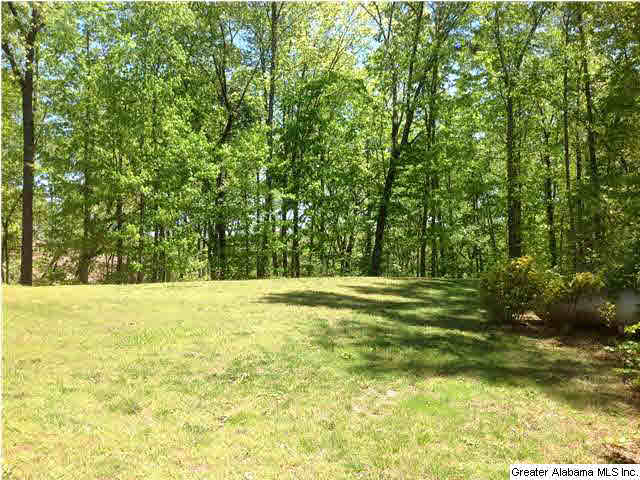 1090 Beaver Ridge Circle Ashville, AL 35953 - Photo 16 of 16 Gallery Image 16