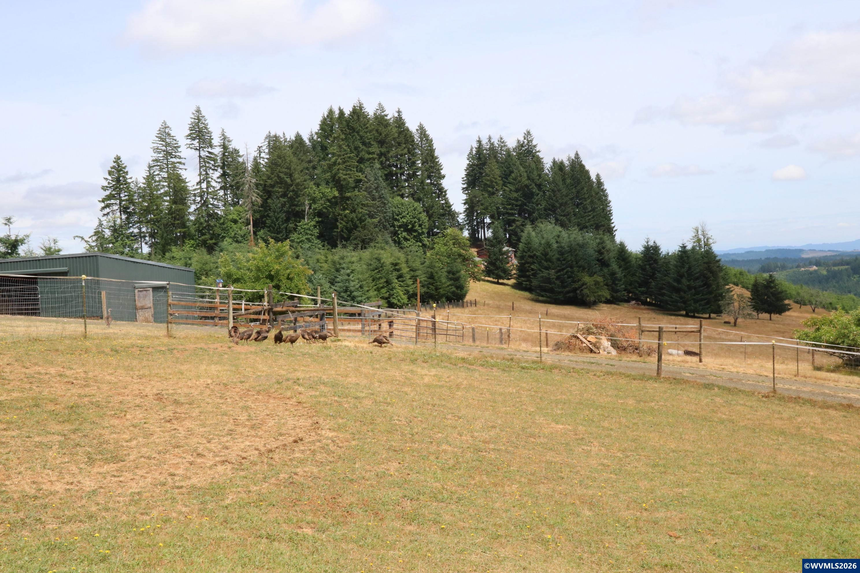 3345 Sample Road Falls City, OR 97344 - Photo 30 of 37 Gallery Image 30