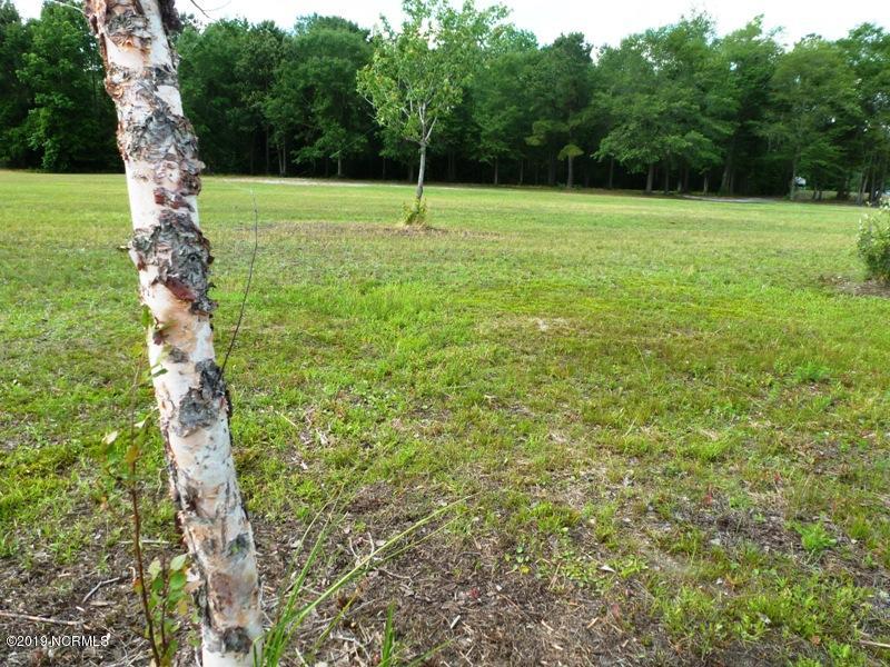 1827 Deep Bottom Road Wallace, NC 28466 - Photo 11 of 42 P1100864