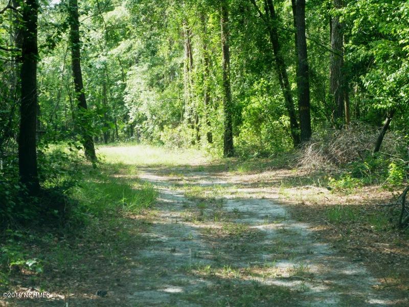 1827 Deep Bottom Road Wallace, NC 28466 - Photo 38 of 42 P1100895