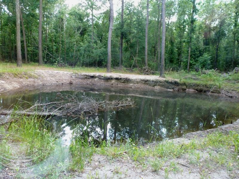 1827 Deep Bottom Road Wallace, NC 28466 - Photo 39 of 42 P1100896