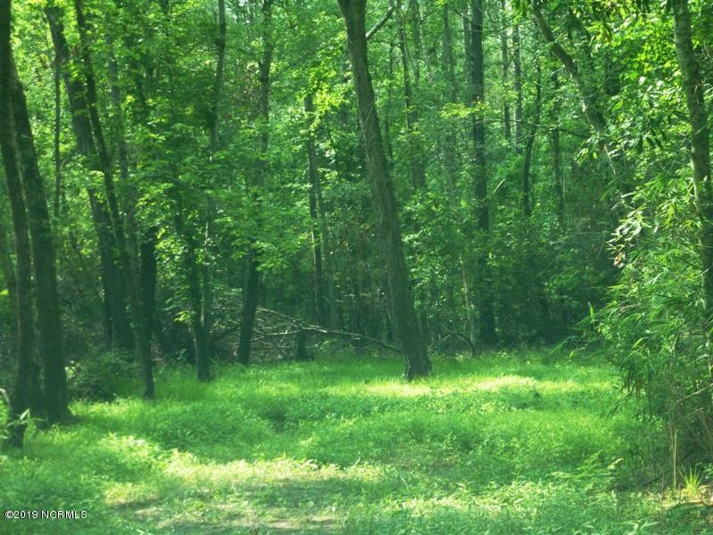 1827 Deep Bottom Road Wallace, NC 28466 - Photo 41 of 42 P1100898
