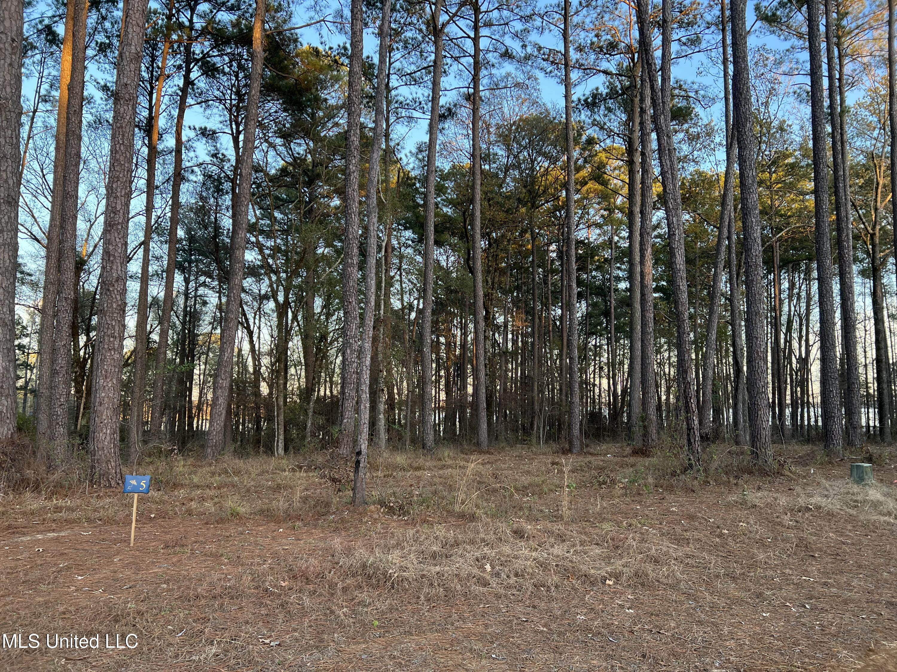 136 Apollo Way Canton, MS 39046 - Photo 4 of 9 Expedition Point lot 5