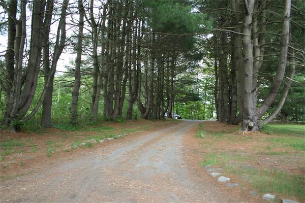503 Main Road Gill, MA 01354 - Photo 6 of 28 Gallery Image 6