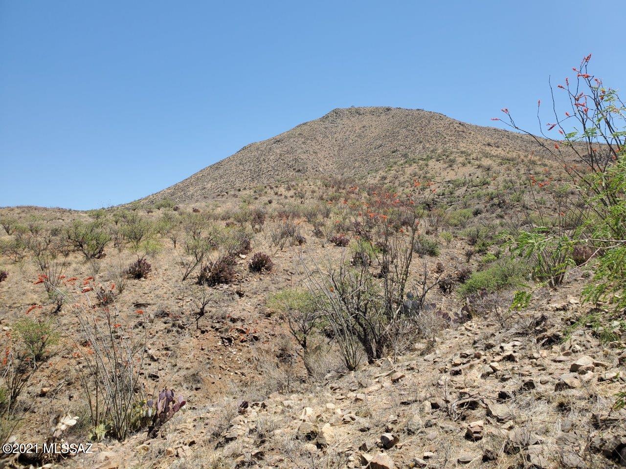 1695 Vía San Cayetano, Unit 7 Rio Rico, AZ 85648 - Photo 34 of 36