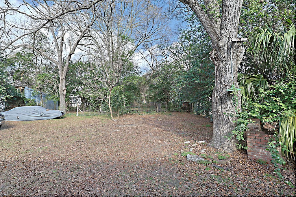 1037 30th Street Columbus, GA 31904 - Photo 15 of 16 a view of a forest with trees