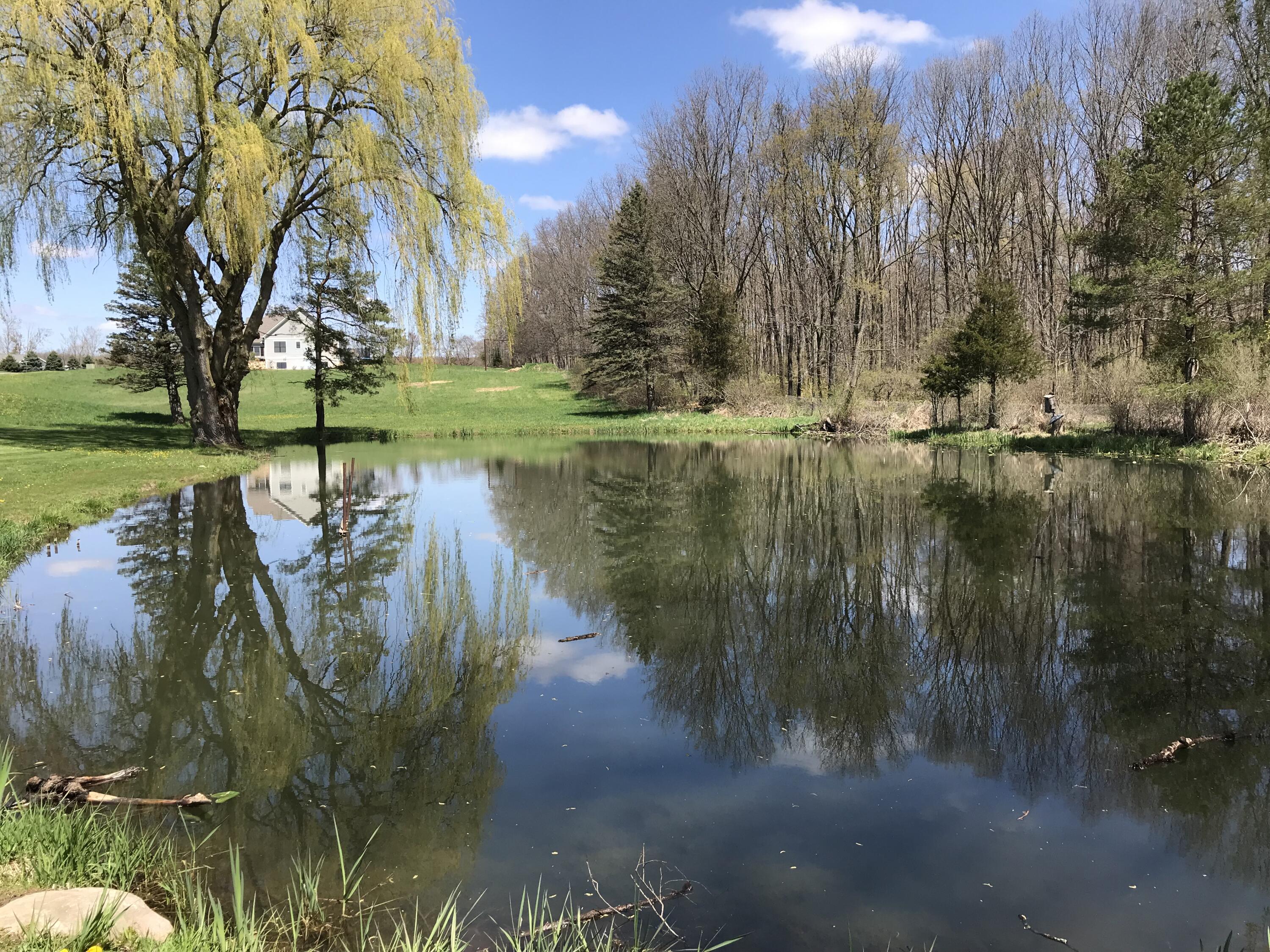 Autumn Ridge, Unit 1 Middleville, MI 49333 - Photo 10 of 13 Photo May 04, 12 59 55 PM