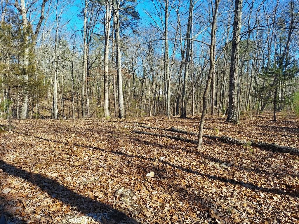 467 Mowery Road Cleveland, TN 37312 - Photo 1 of 11