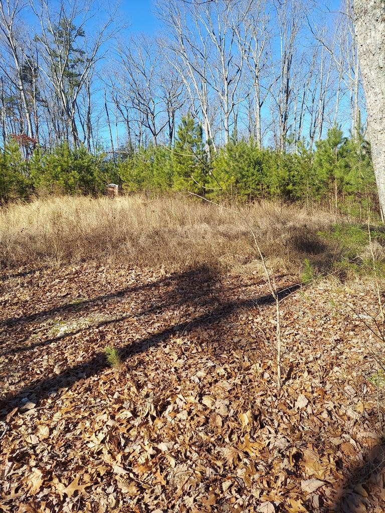 467 Mowery Road Cleveland, TN 37312 - Photo 2 of 11