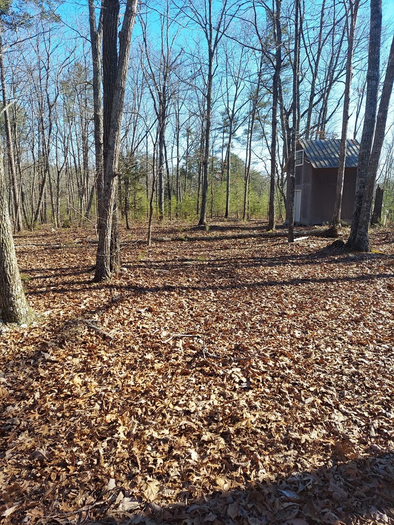 467 Mowery Road Cleveland, TN 37312 - Photo 4 of 11