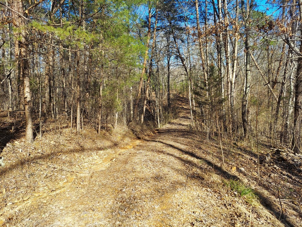 467 Mowery Road Cleveland, TN 37312 - Photo 9 of 11