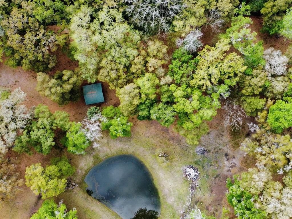 10820 Southwest 31st Way Webster, FL 33597 - Photo 3 of 37 a backyard of a house with a yard and outdoor seating