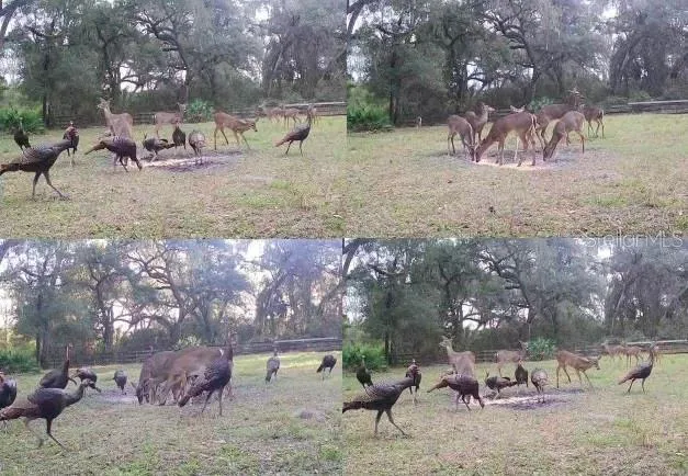 $692,500 | 10820 Southwest 31st Way, Webster, FL 33597