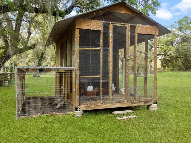 a view of a tree in a yard