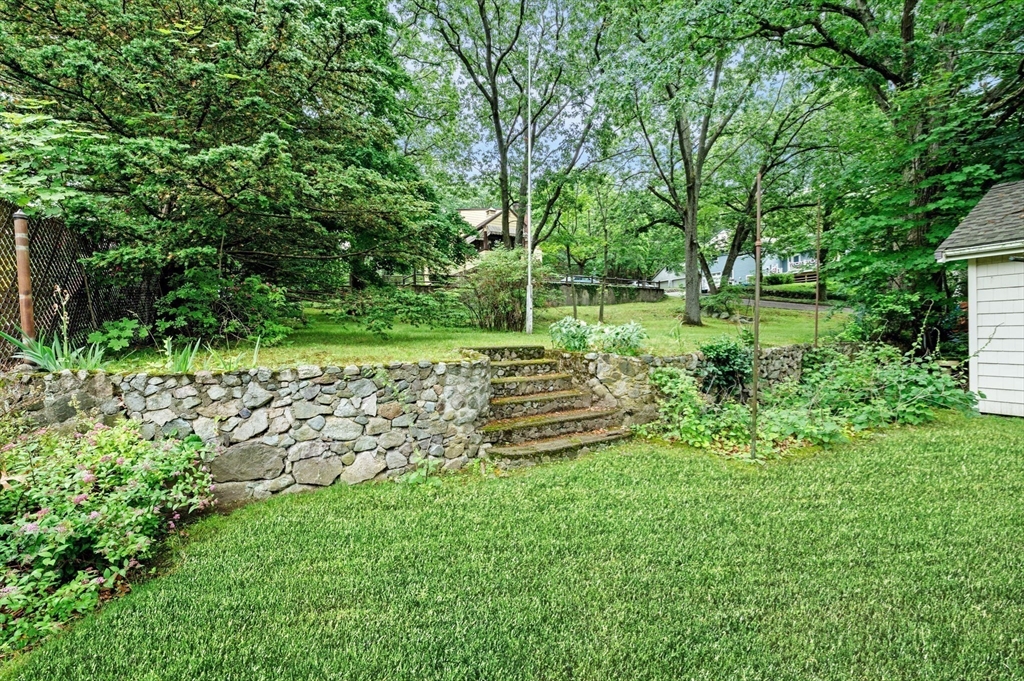 33 Intervale Avenue Saugus, MA 01906 - Photo 33 of 40 a view of a garden with a tree