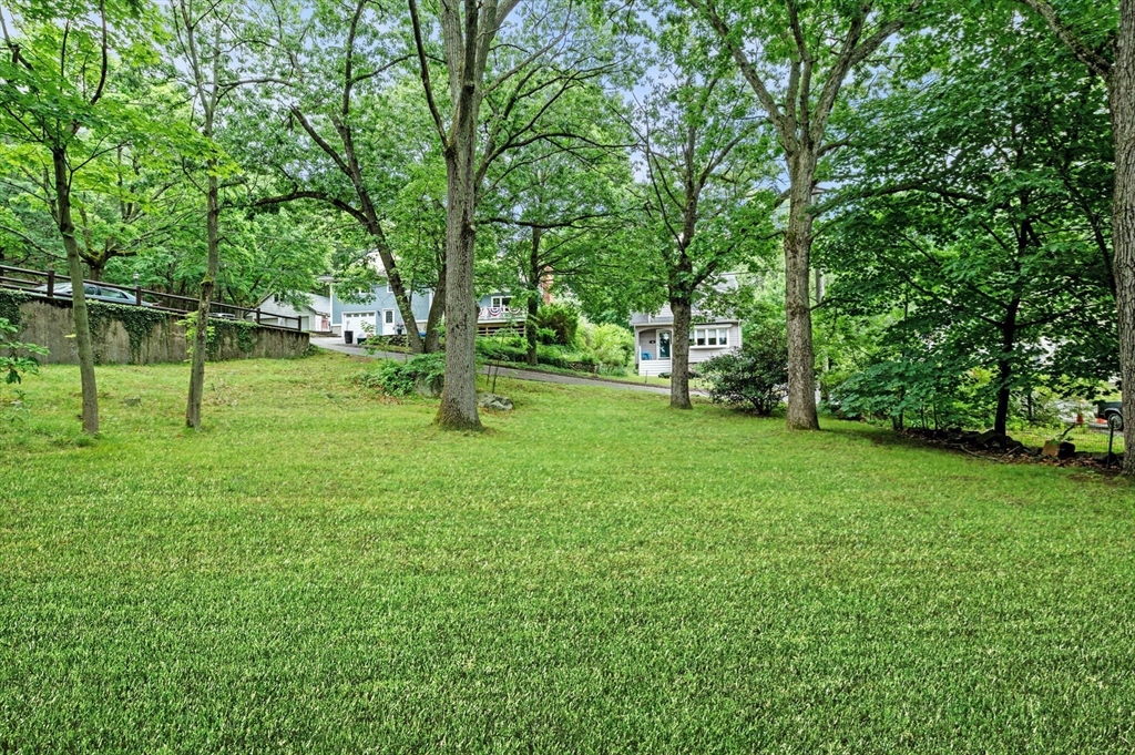 33 Intervale Avenue Saugus, MA 01906 - Photo 35 of 40 a view of a park with a tree