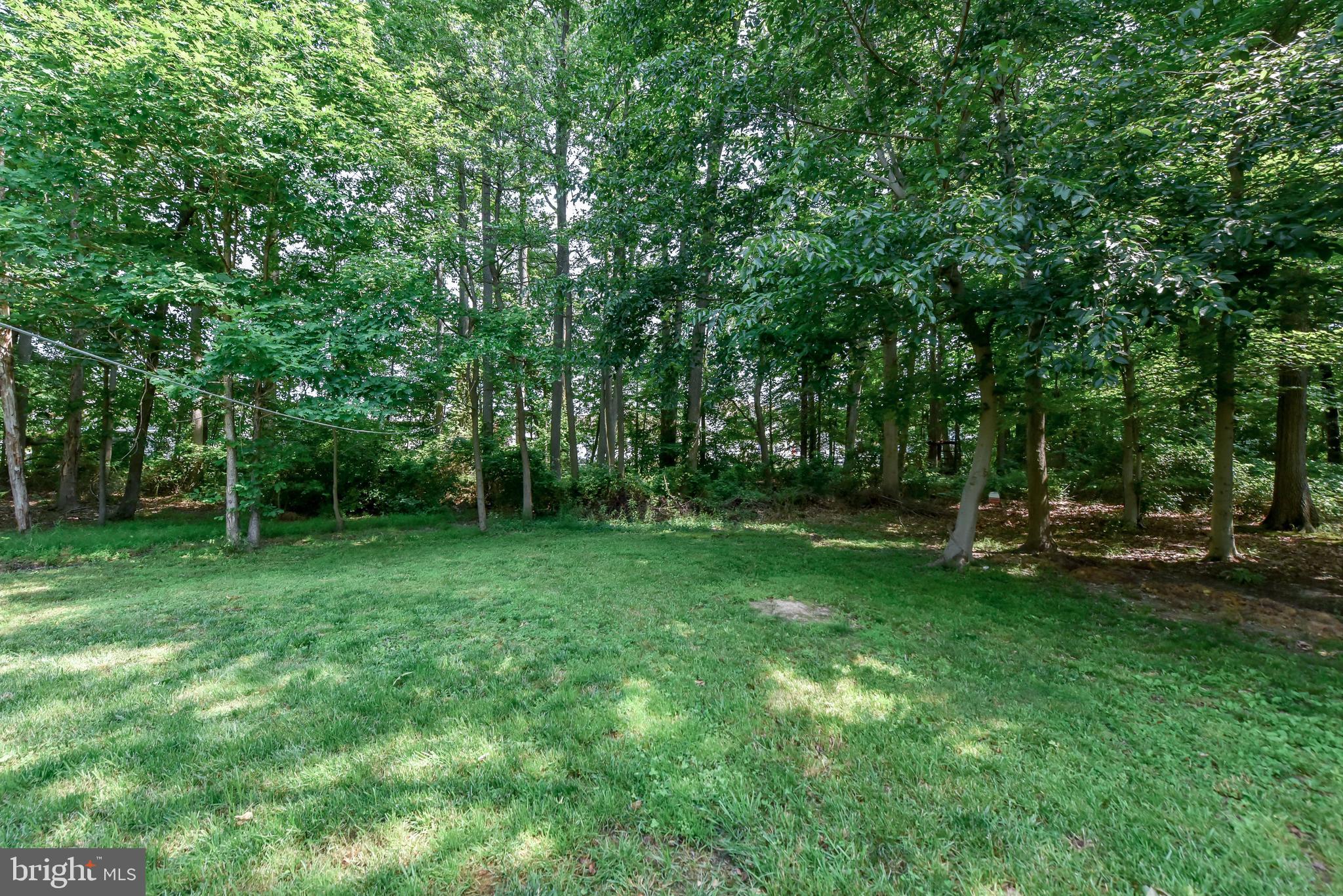 8 Kings Court Elkton, MD 21921 - Photo 23 of 24 Secluded back yard