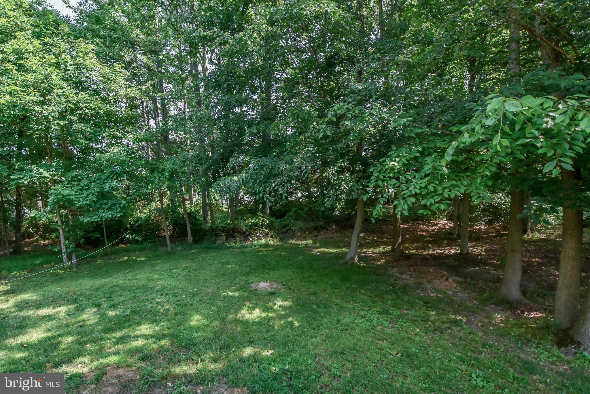 8 Kings Court Elkton, MD 21921 - Photo 24 of 24 Large wooded lot
