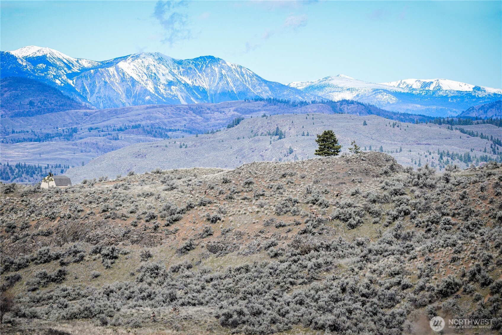 -xxx Emily Road Tonasket, WA 98855 - Photo 11 of 31 a view of a dry yard with wooden fence
