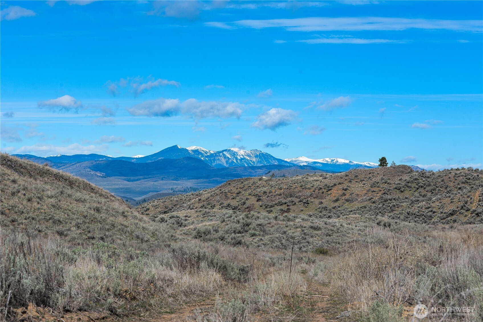 -xxx Emily Road Tonasket, WA 98855 - Photo 12 of 31 a view of mountain