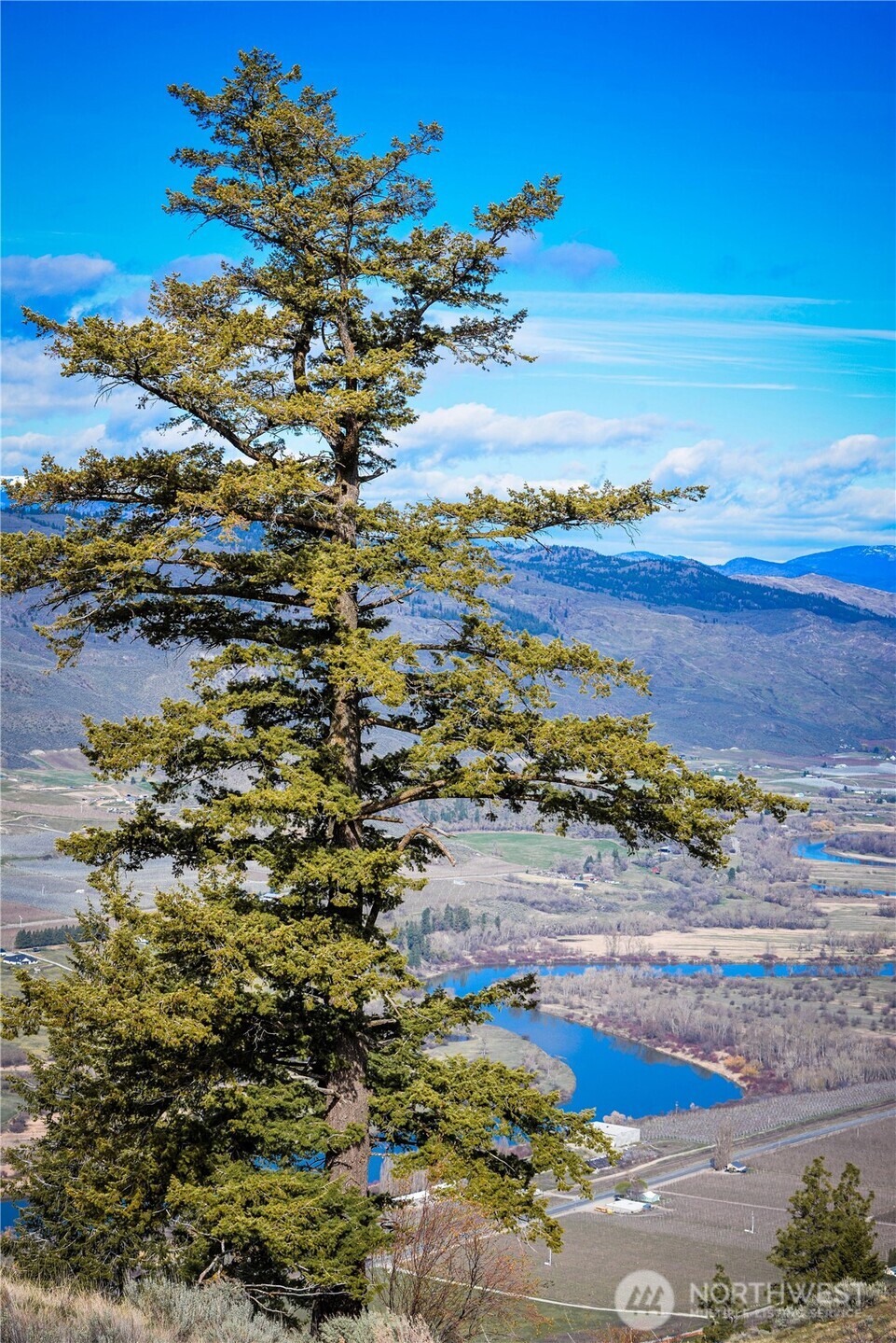 -xxx Emily Road Tonasket, WA 98855 - Photo 13 of 31 a view of lake view and mountain view