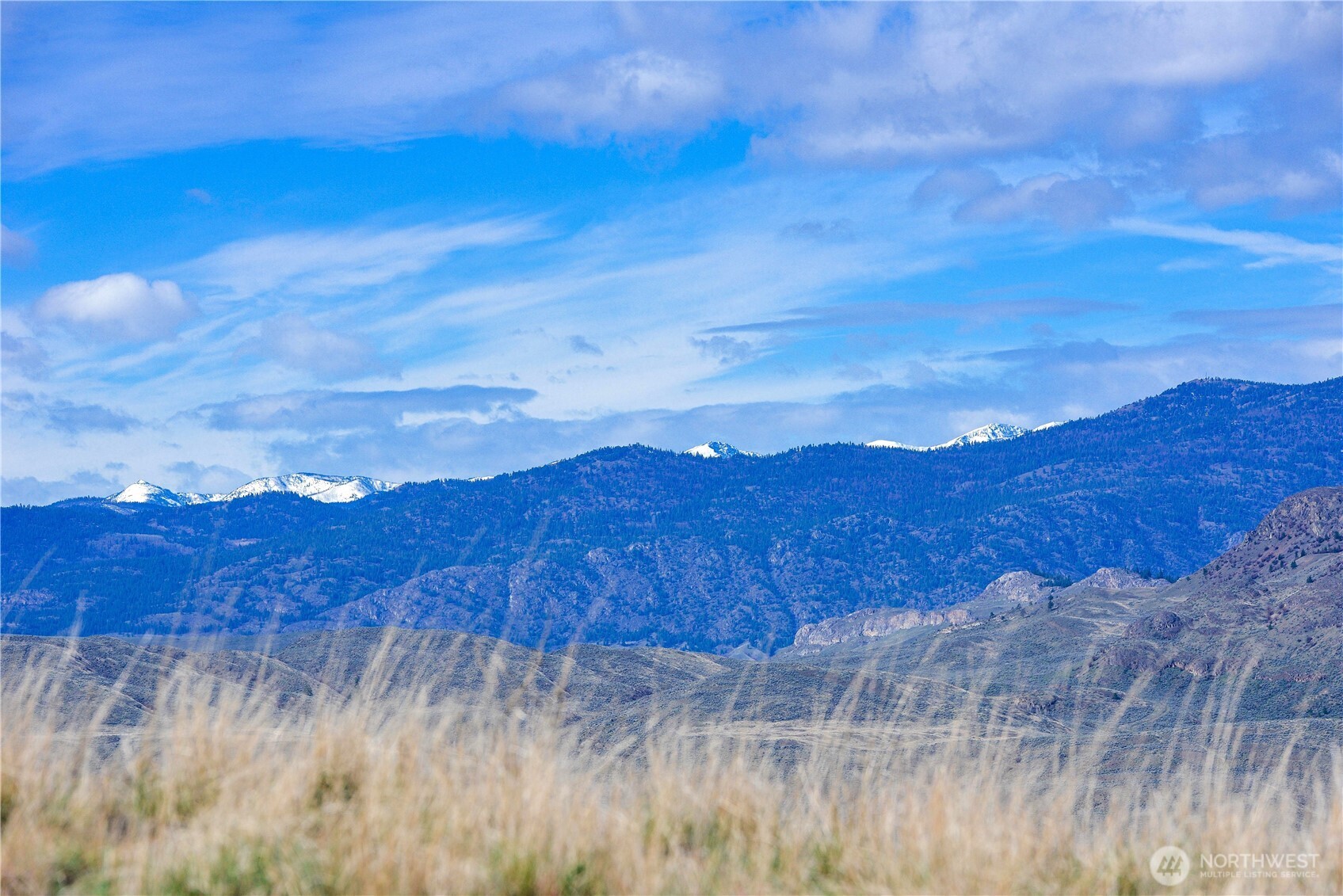 -xxx Emily Road Tonasket, WA 98855 - Photo 14 of 31 a view of a dry yard with green space