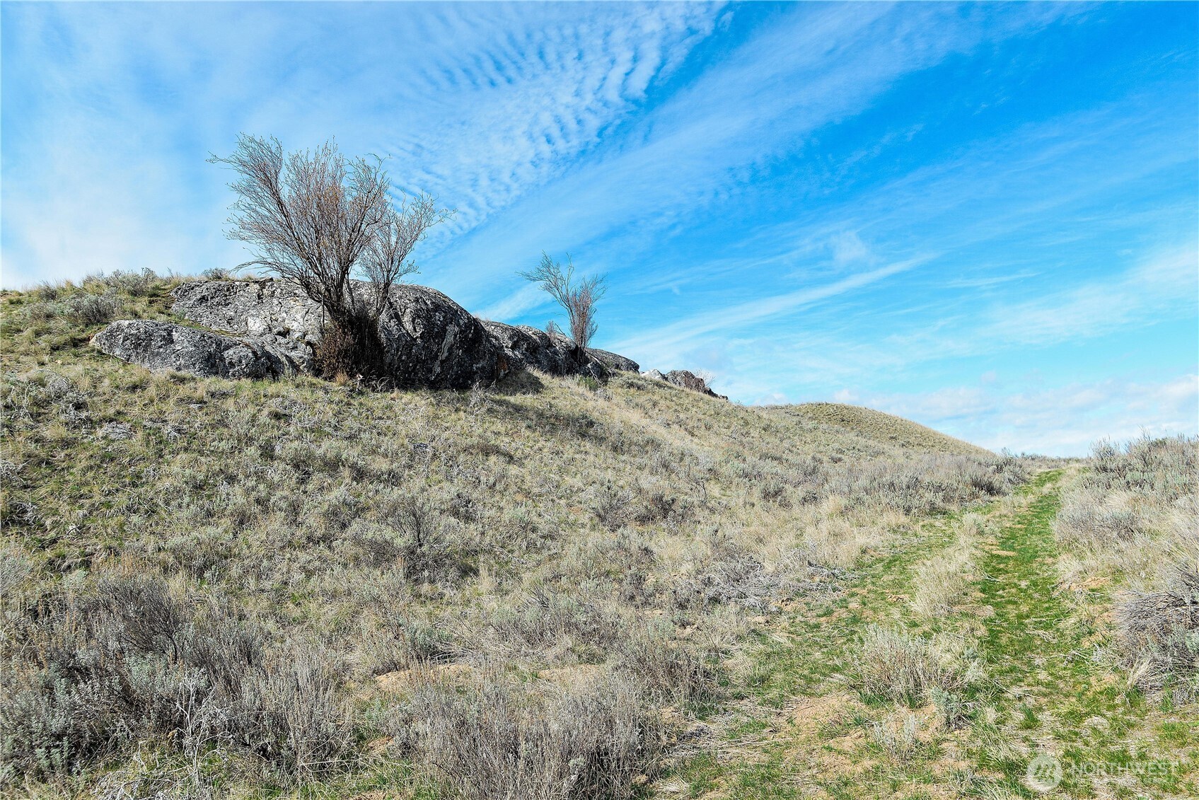-xxx Emily Road Tonasket, WA 98855 - Photo 2 of 31 a view of a dry field with trees in the background