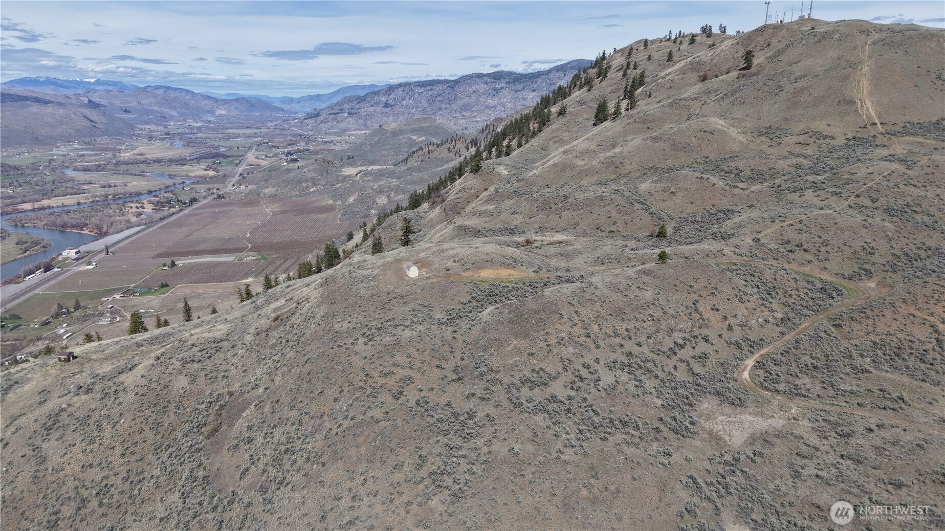 -xxx Emily Road Tonasket, WA 98855 - Photo 21 of 31 a view of a dry field with trees in the background