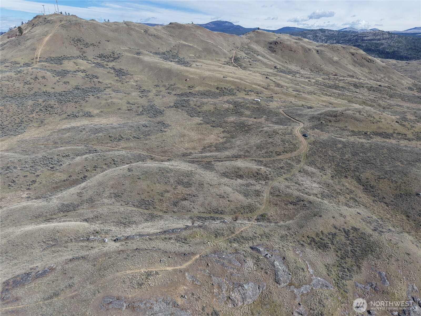 -xxx Emily Road Tonasket, WA 98855 - Photo 22 of 31 a view of a dry field with mountains in the background