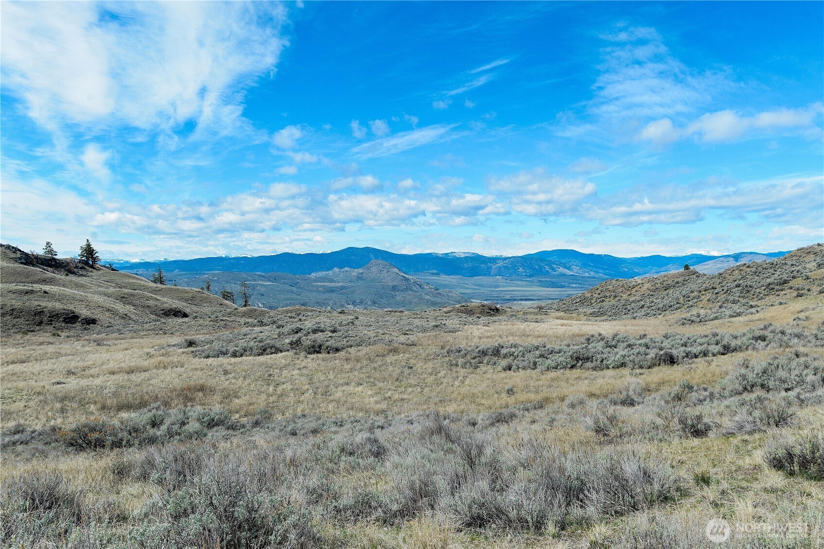 -xxx Emily Road Tonasket, WA 98855 - Photo 6 of 31 a view of mountain view with lots of trees