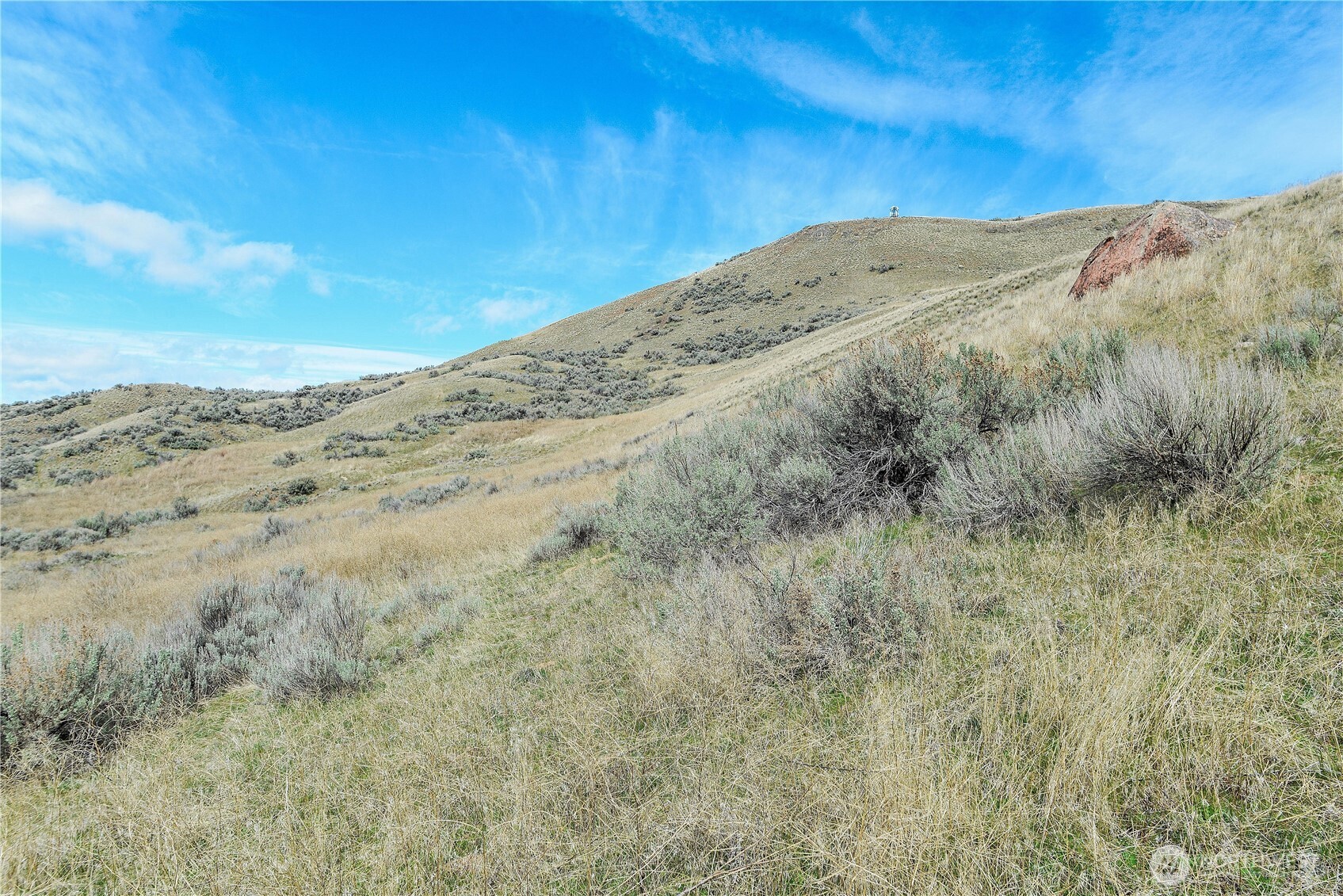 -xxx Emily Road Tonasket, WA 98855 - Photo 7 of 31 a view of a dry yard