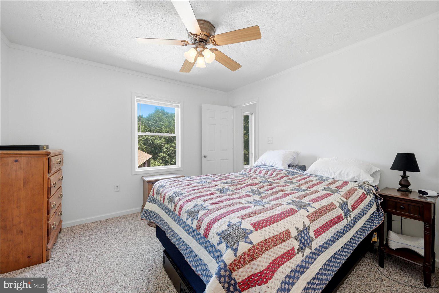 323 South Timber Ridge Road Cross Junction, VA 22625 - Photo 83 of 109 Cozy bedroom with natural light.