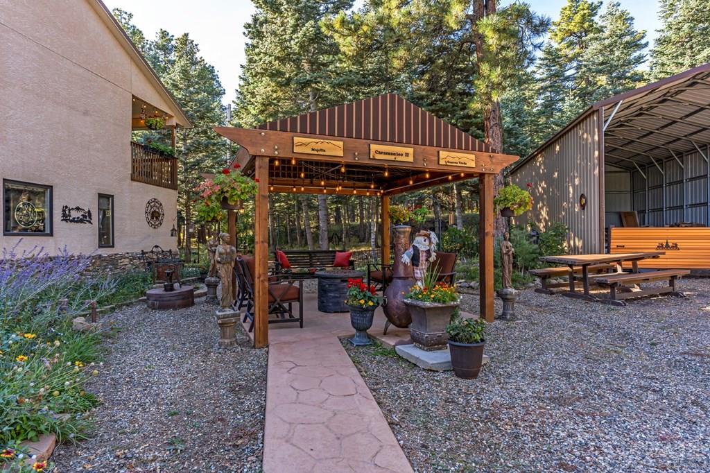 8262 William Drive Rye, CO 81069 - Photo 58 of 100 Gallery Image 58