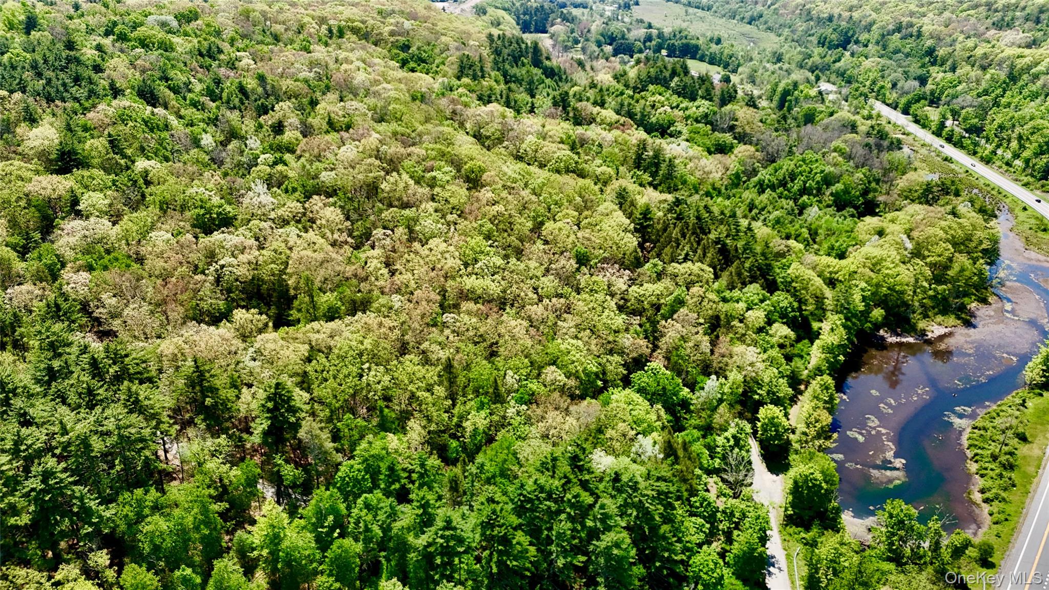 Depot Road Wurtsboro, NY 12790 - Photo 12 of 12 secluded property.