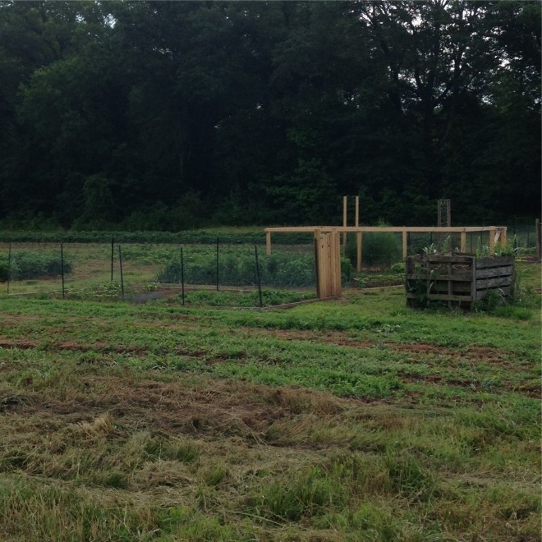 225 Tuttle Street Clemson, SC 29631 - Photo 33 of 43 Community Garden