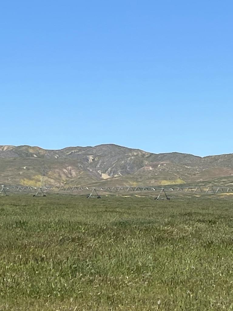 34819 Panoche Road Paicines, CA 95043 - Photo 4 of 6 a view of an mountain with a yard