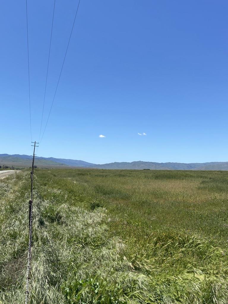34819 Panoche Road Paicines, CA 95043 - Photo 5 of 6 a view of an ocean from a yard