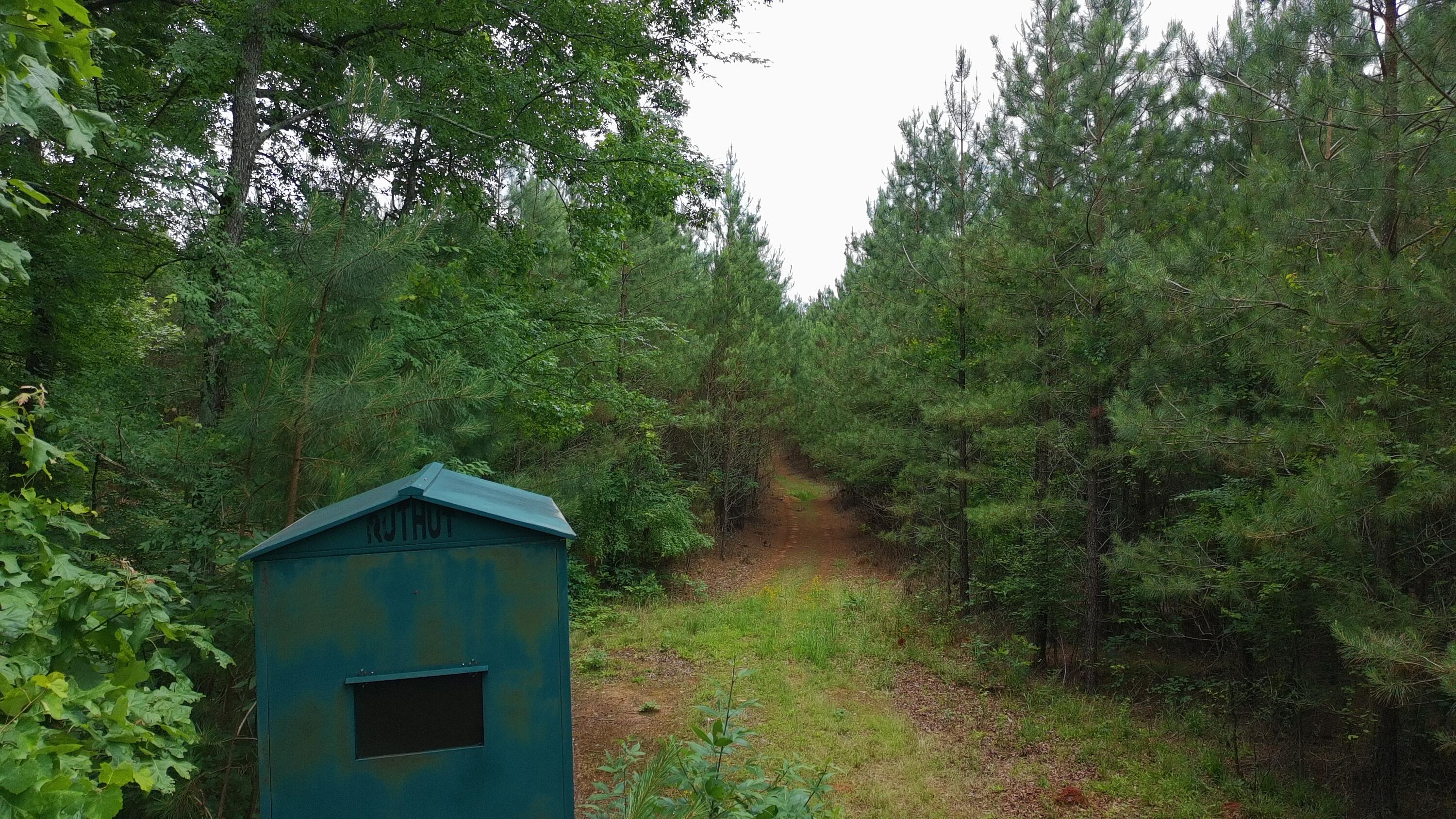 Tbd Pineywood Road, Unit TBD Saluda, SC 29138 - Photo 15 of 17